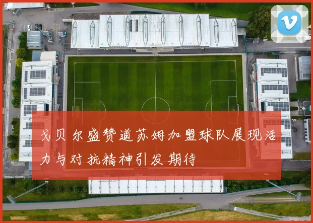 戈贝尔盛赞道苏姆加盟球队展现活力与对抗精神引发期待